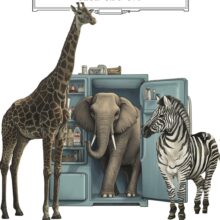 Hacca_ghiotti_def_OKMC